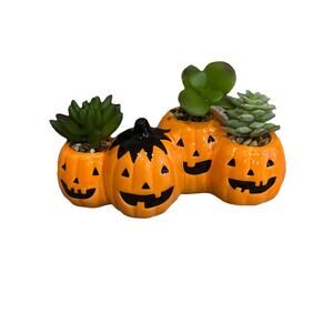 Pumpkin Halloween Faux Succulent & Cactus